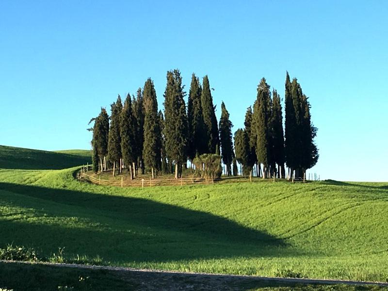 Camera La Margherita San Quirico dʼOrcia Exteriör bild